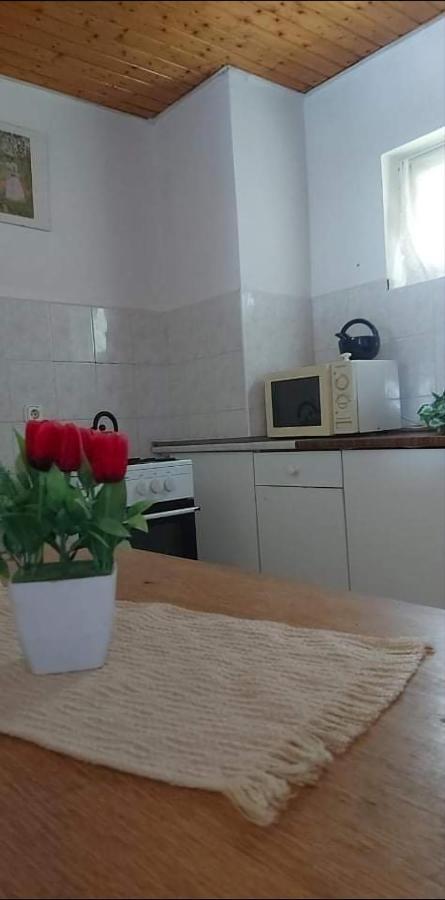 Kekturas-Tora Nyilo Badacsonyi Privat Berlemeny Lägenhet Badacsonytomaj Exteriör bild